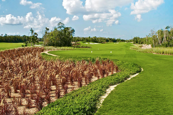 El Tinto Golf Course at Cancun Country Club